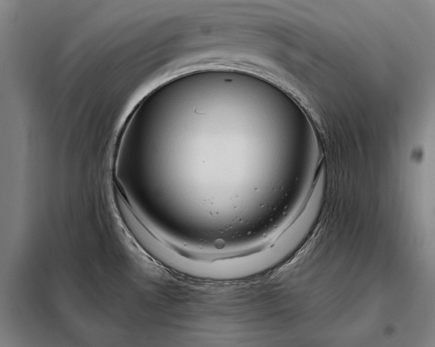 X0000098131530200805011310