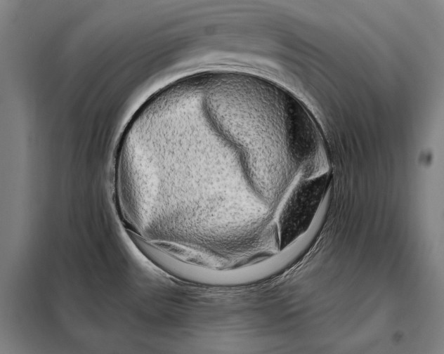 X0000098131531200805011310