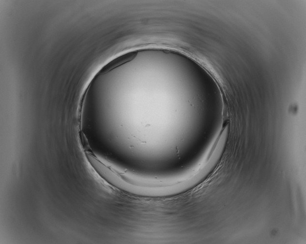 X0000098131532200805011310