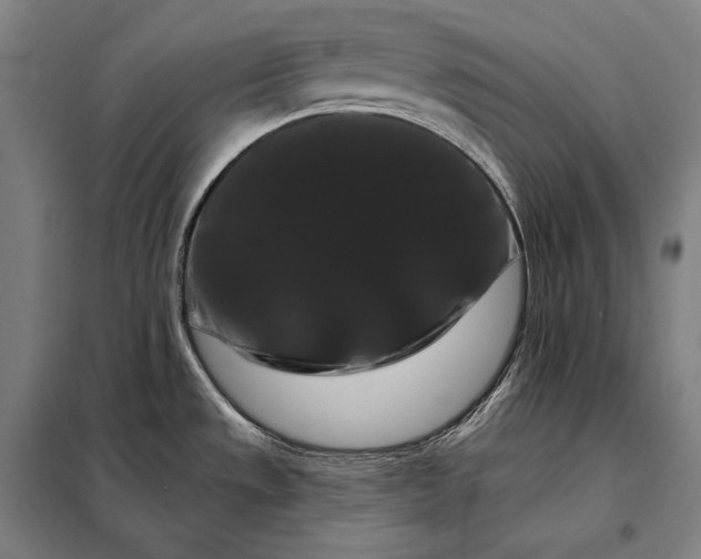 X0000098131533200805011310