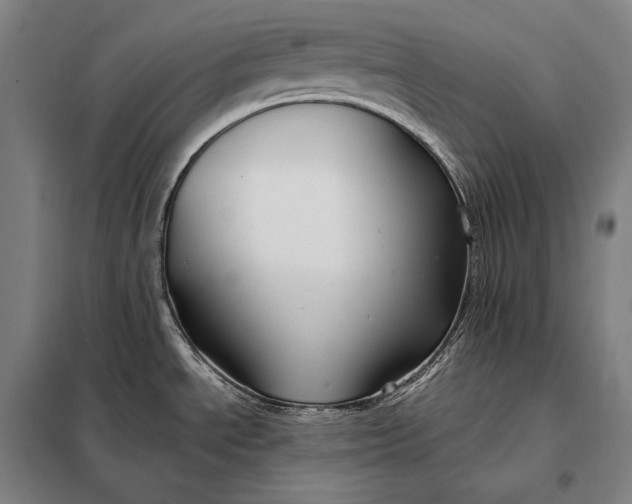X0000098131534200805011310