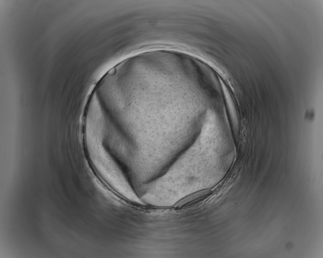 X0000098131535200805011310