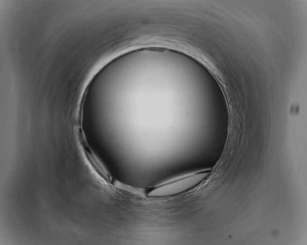 X0000098131536200805011310