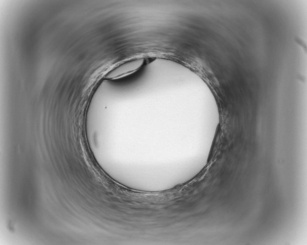 X0000098130001200805081008