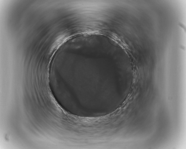 X0000098130002200805081008