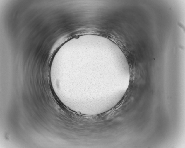 X0000098130004200805081008