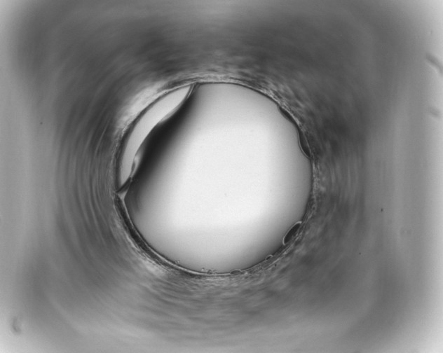 X0000098130005200805081008