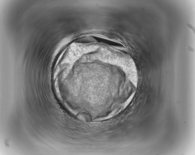 X0000098130006200805081008