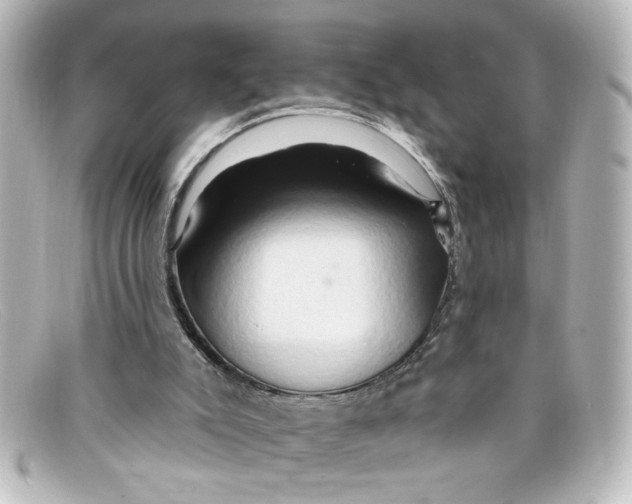 X0000098130007200805081008