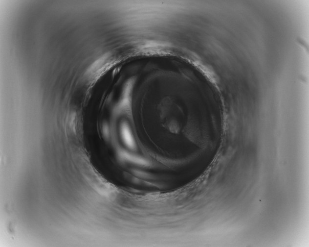 X0000098130009200805081008
