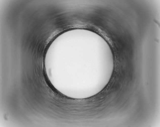 X0000098130011200805081008