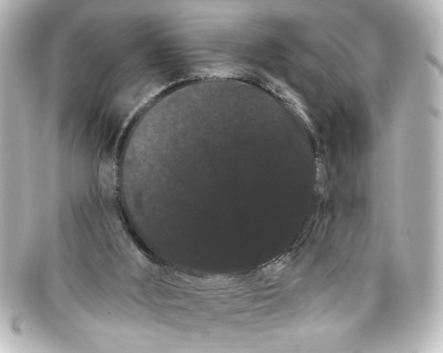X0000098130012200805081008