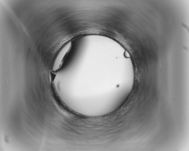 X0000098130013200805081008