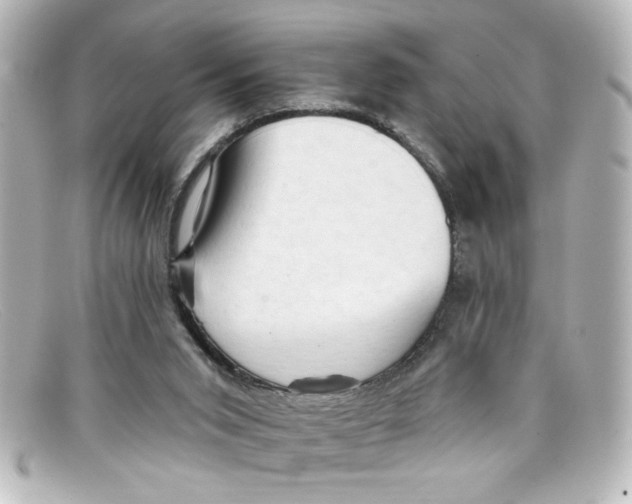 X0000098130015200805081008
