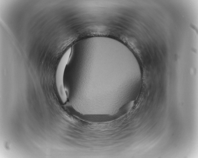 X0000098130017200805081008