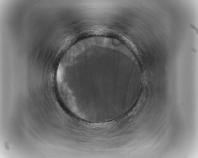 X0000098130018200805081008