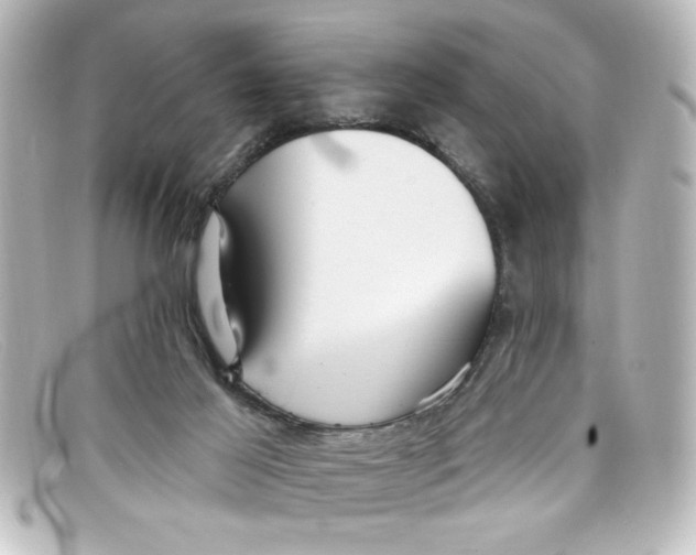 X0000098130021200805081008