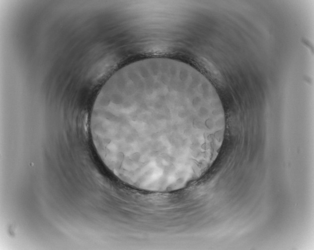 X0000098130024200805081008