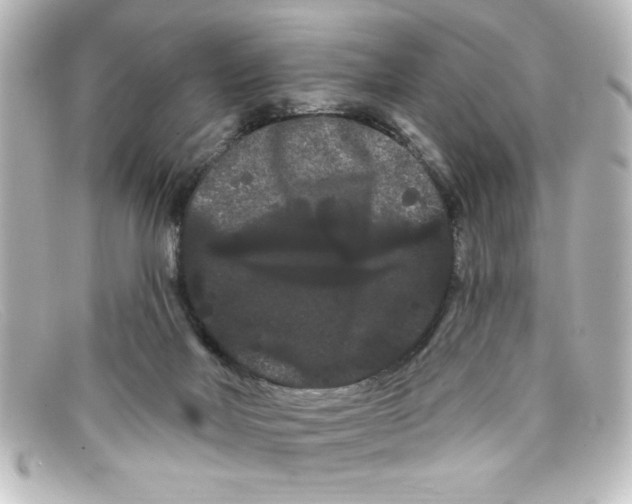 X0000098130026200805081008