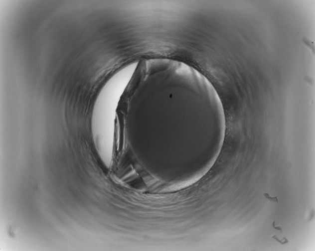 X0000098130027200805081008
