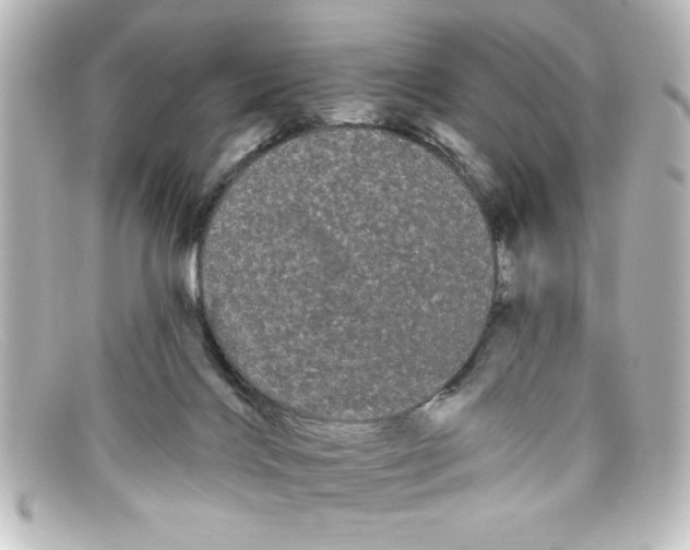 X0000098130028200805081008