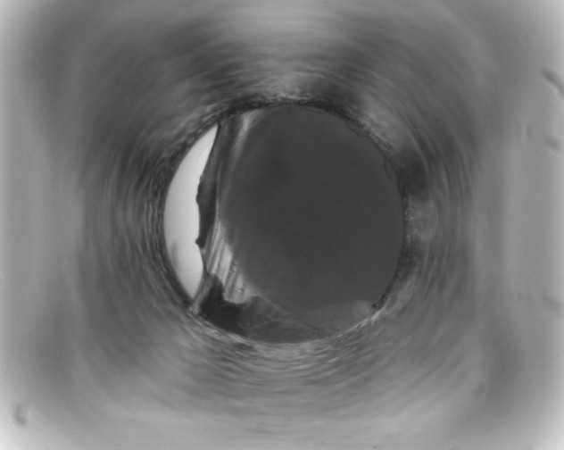 X0000098130029200805081008