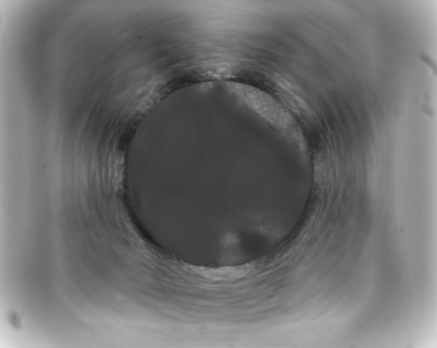X0000098130030200805081008