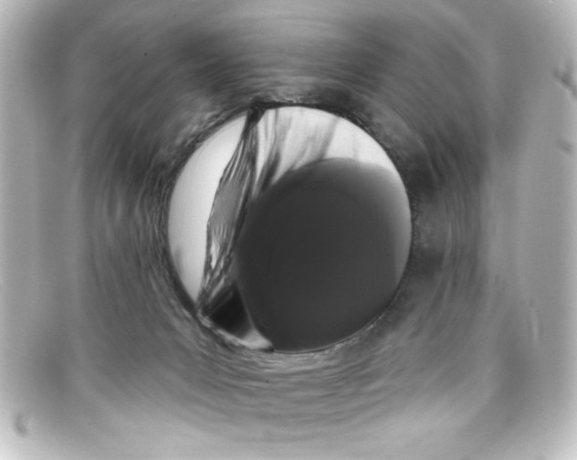 X0000098130031200805081008