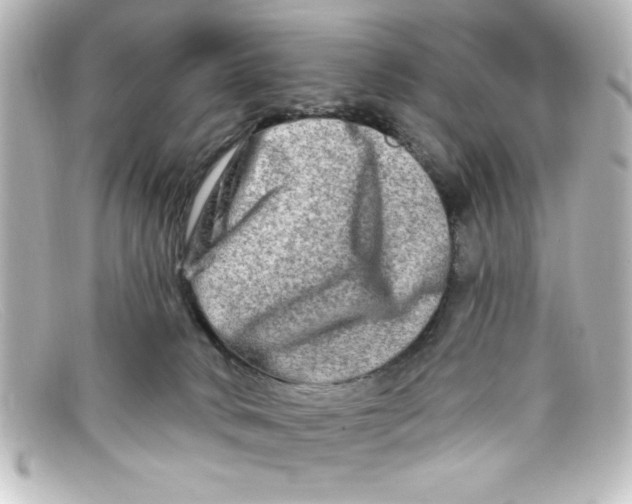 X0000098130034200805081008