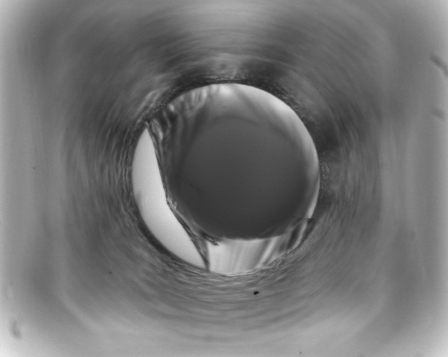 X0000098130035200805081008