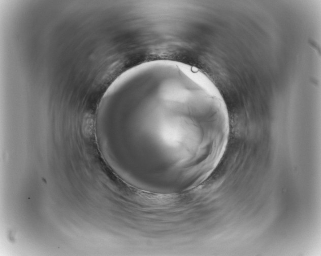 X0000098130036200805081008