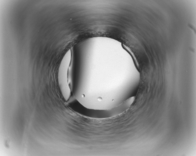 X0000098130037200805081008