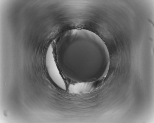 X0000098130039200805081008