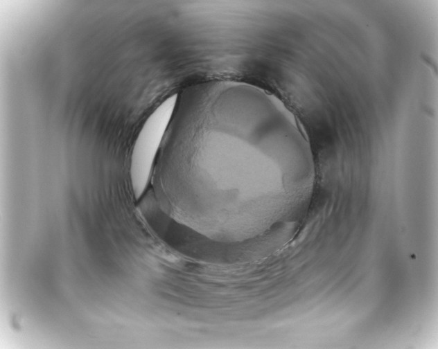 X0000098130041200805081008