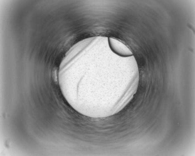 X0000098130042200805081008