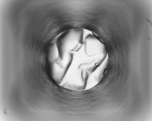 X0000098130044200805081008