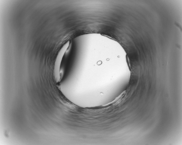 X0000098130045200805081008