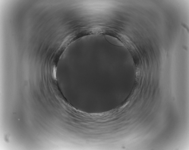 X0000098130046200805081008