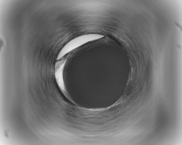 X0000098130048200805081007