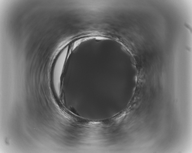 X0000098130055200805081007