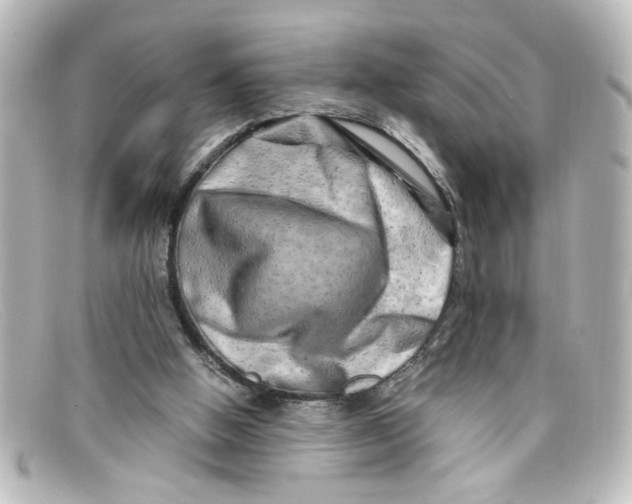 X0000098130058200805081007