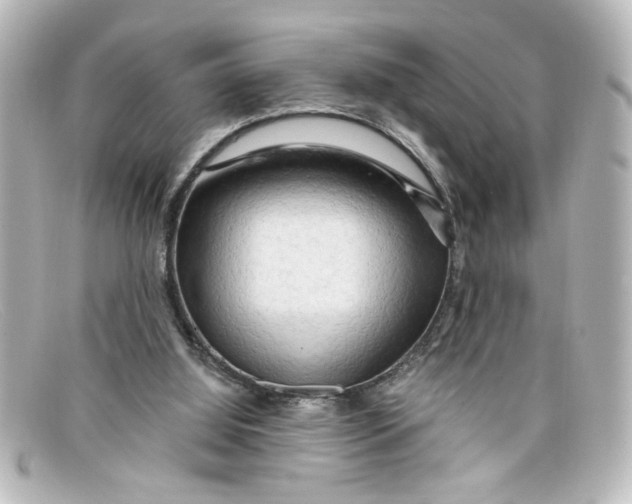 X0000098130060200805081007