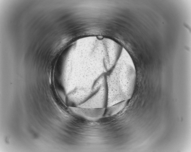 X0000098130062200805081007