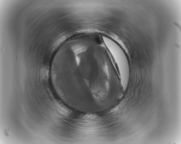 X0000098130063200805081007