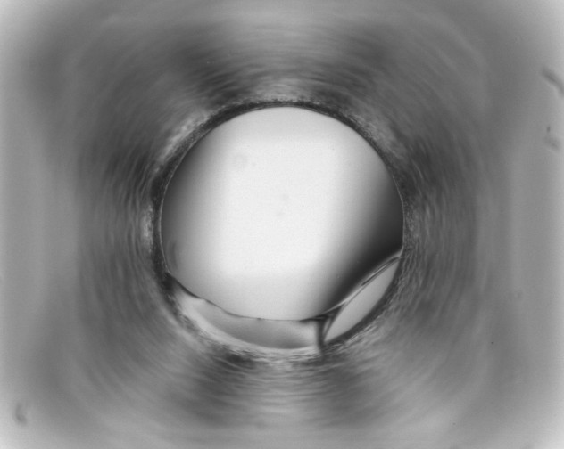 X0000098130064200805081007