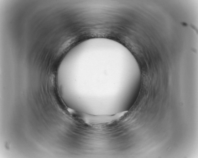 X0000098130071200805081007