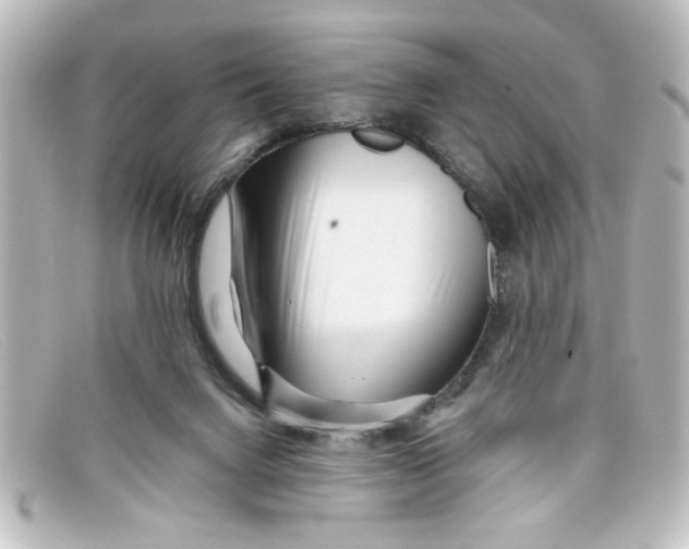 X0000098130072200805081007