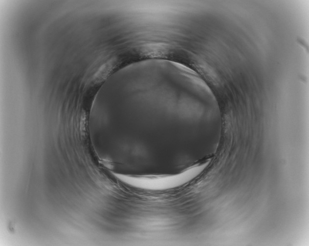 X0000098130073200805081007