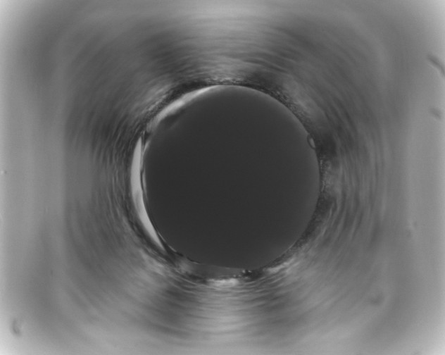 X0000098130076200805081007