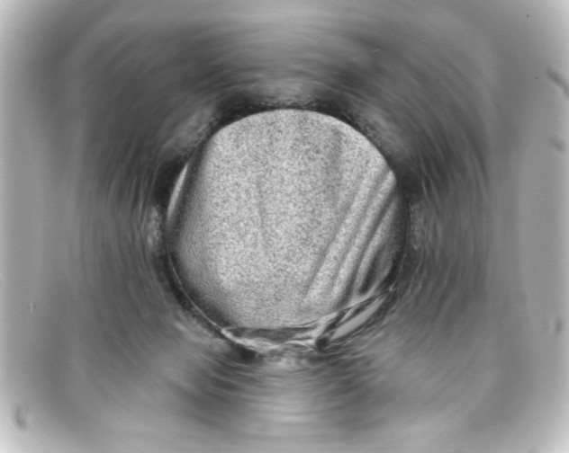 X0000098130077200805081007